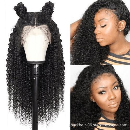 Wholesale Brazilian Virgin Hair Lace Front Wig Deep, Unprocessed Remy Hair 13*4 Lace Front Wigs For Black Women